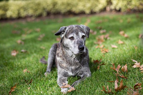 IMG_5659